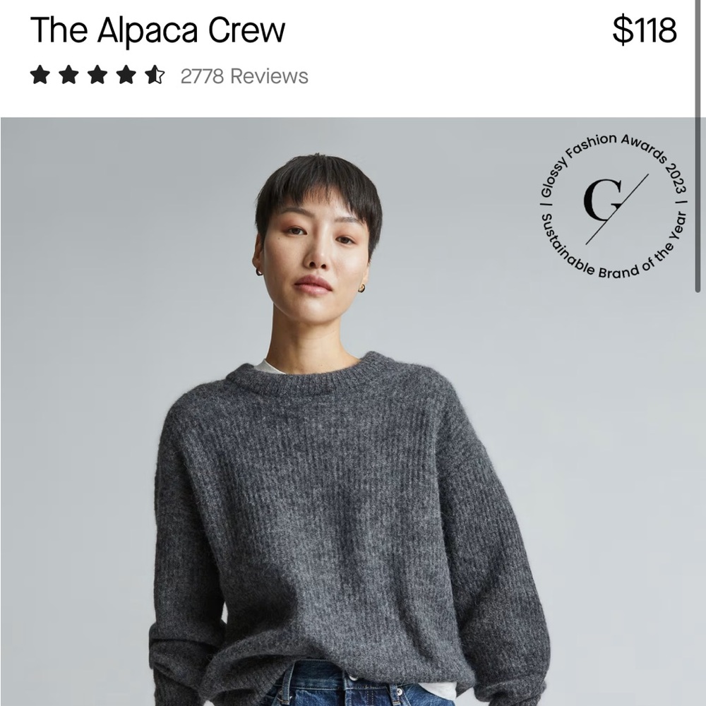 EVERLANE large L alpaca grey sweater
